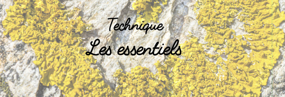 Initiation Photographique-Technique-Les essentiels
