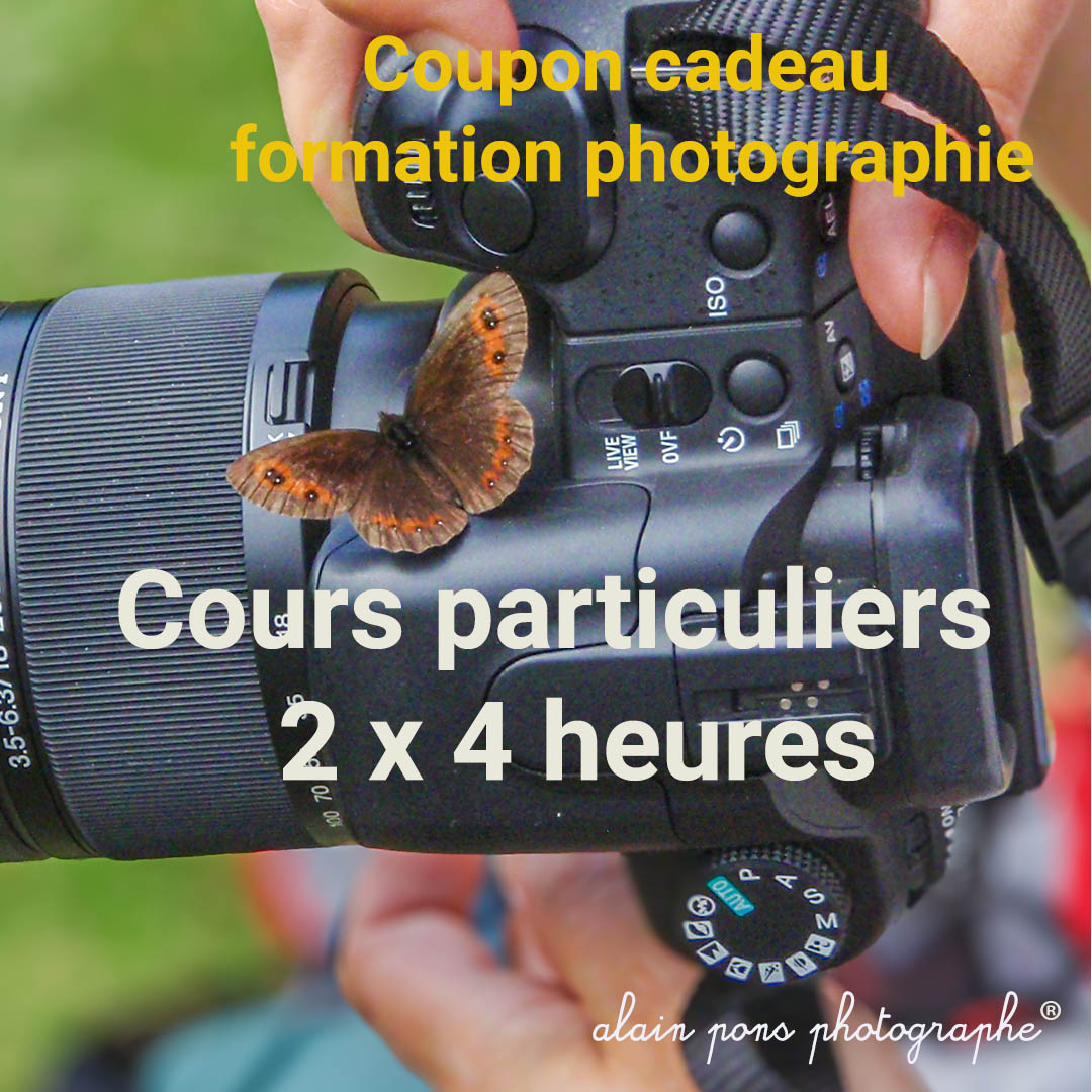 image de mon offre de cours particuliers 2 sessions de 4 heures 30